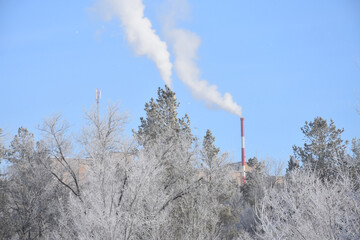 Long white snaking smoke from funnel over trees covered with snow against light blue cloudless sky in sunlight in wintertime