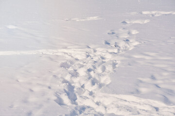 Fototapeta na wymiar Footprints on snow in sunlight in wintertime