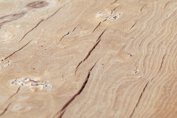 Texture of cut old tree stump with annual rings and cracks. Wooden texture