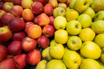 Naklejka na ściany i meble tipos de manzanas de árbol natural