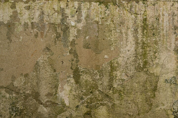 Textured background and texture of a concrete wall, with small fragments on the proteins and. Background and texture, for creating graphic and photo resources.