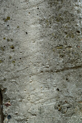 Background pattern, textures of a concrete power line pole. Background and texture, for creating graphic and photo resources.