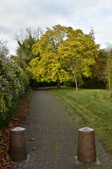Allée asphaltée pour la promenade au parc des Etangs Tenreuken à Watermael-Boitsfort