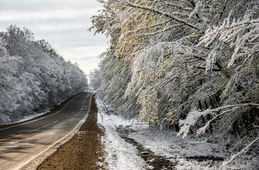 Road in snowy landscpape