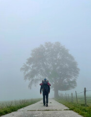 Wanderer von hinten vor einem Baum im Nebel