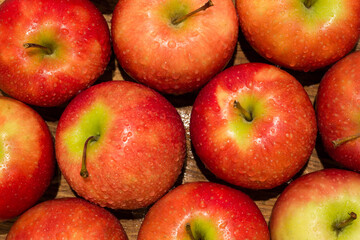 Ripe and juicy organic pink lady apples covered in water droplets
