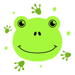 frog on a white background