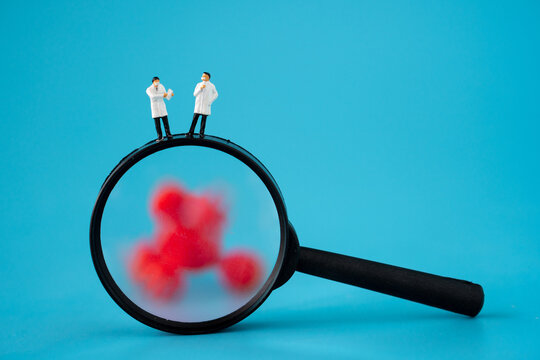 miniature doctor on magnifier glass with viruses, coronaviruses, COVID 19 icon. Coronavirus lab test and research concept. COVID 19, corona virus search detection