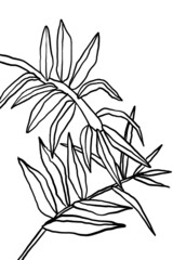 Contemporary art, lineart, texture of flowers