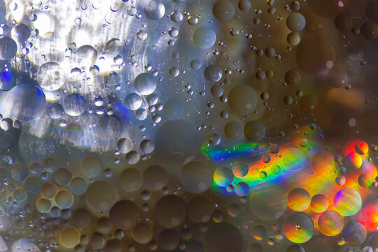 Abstract bright bubbles of oil on water