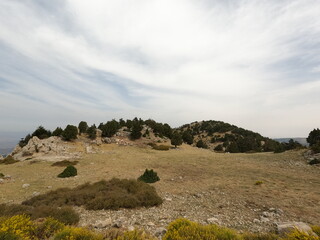 Obraz premium Trees at the mountains