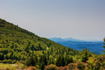 Fototapeta na wymiar Grayson Highlands State Park in Virginia, USA