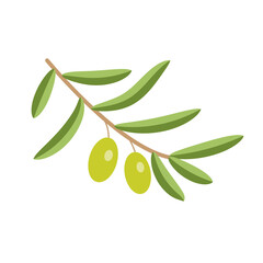 Olive icon isolated on white background