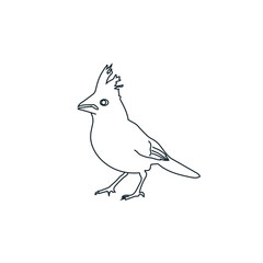 Northern cardinal thin line art stock illustration.