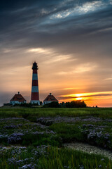 Fototapeta na wymiar Westerheversand lighthouse in flowerfield during sunset