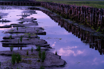 Wadden Sea in the evening with Lahnung