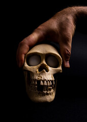 hand hold human skull