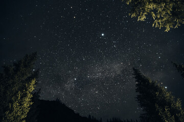 stars in the night sky, milky way