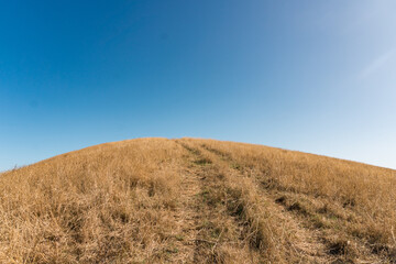 Fototapeta premium View from Kaikoura Peninsula Walkway