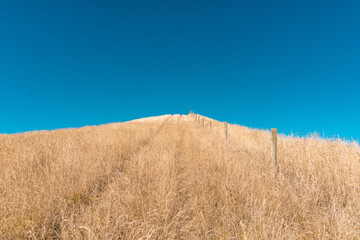 View from Kaikoura Peninsula Walkway