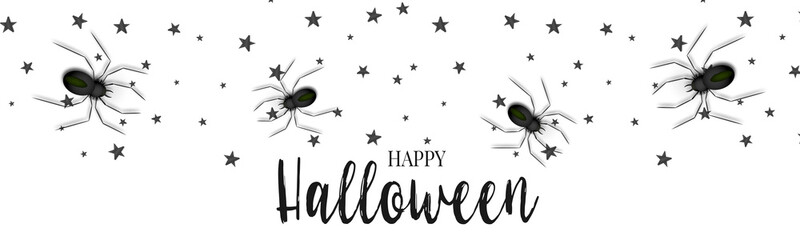 Halloween banner template. Realistic black spiders. Trick or treat party invitation card. Vector illustration.