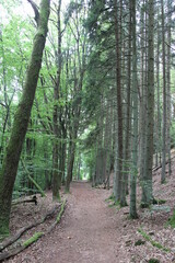 Hiking the Traumschleife Schengen grenzenlos | On the hiking trail