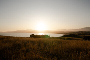 Obraz premium Golden sunset over Kaikoura Peninsula Walkway, Canterbury, New Zealand