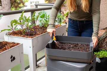 A women harvests fresh worm castings (compost) from a vermicomposter on her balcony, into her...