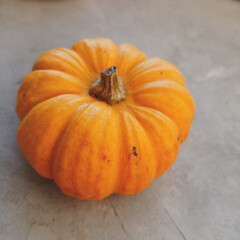 pumpkin on a wooden table