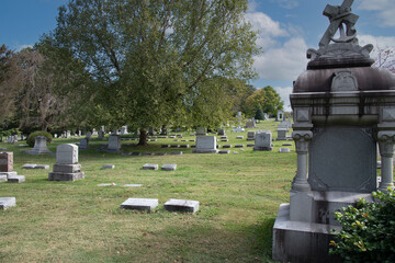 Graveyard trees and views on a fall day