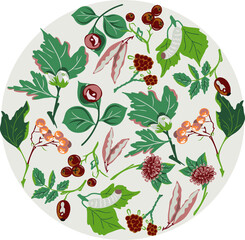 Plant pattern in a circle pattern. Vector graphics. Background for tags, labels, cards with leaves and twigs, berries
