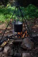 Cooking delicious liquid food on fire in natural conditions