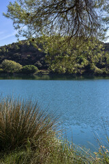 Autumn landscape with lake