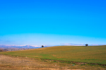 Fototapeta premium landscape with sky