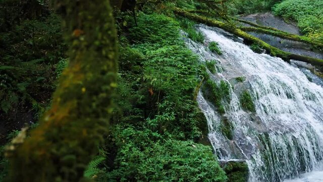 lan sa ded waterfall on kew mae pan nature trail which is a tropical rainforest, famous tourist attraction of Thai people.
