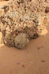 Stone on the beach