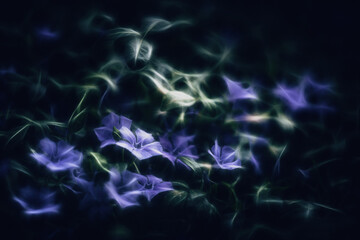 Blue flowers Bigleaf Periwinkle pictorial rendering
