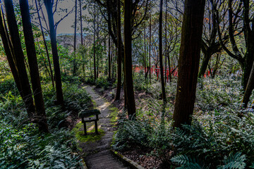 小牧山吉五郎稲荷への参道