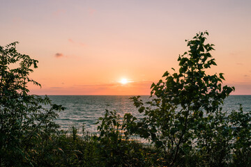 sunset with a view from the dune overgrown with shrubs