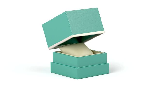 Luxury watch box on white background