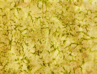Abstract watercolor textured yellow-brown background, banner, salt effect