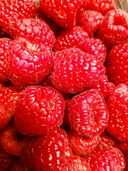 Macro plan of large juicy red ripe raspberries. Summer fruit harvest