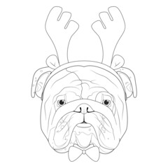 Christmas greeting card for coloring. English Bulldog dog with reindeer horns