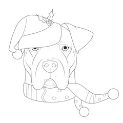 Christmas greeting card for coloring. Argentinian Dogo dog with Santa´s hat and a woolen scarf for winter