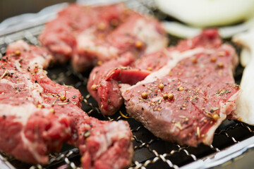 grilled meat on the grill