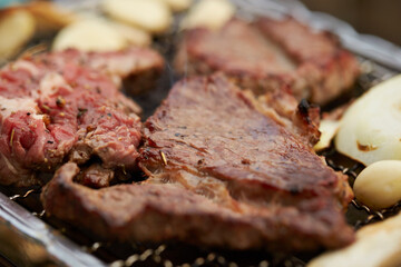 grilled meat on the grill