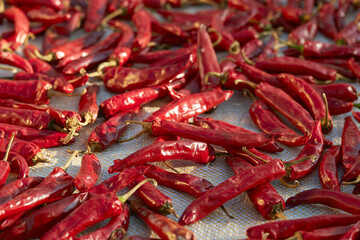 dried red pepper close-up 