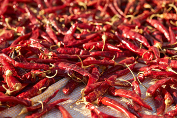 Sun-dried red chillies, dried chillies 