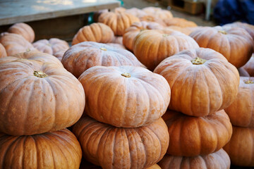 Pumpkins on display in a traditional market