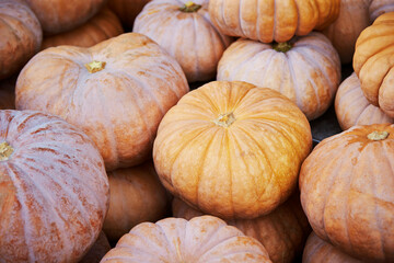 Pumpkins on display in a traditional market